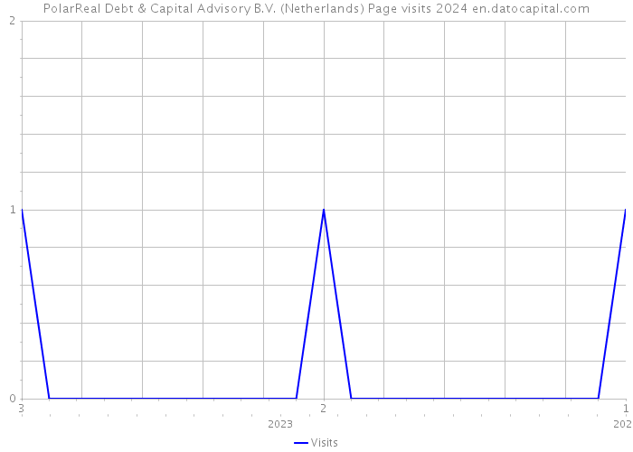 PolarReal Debt & Capital Advisory B.V. (Netherlands) Page visits 2024 