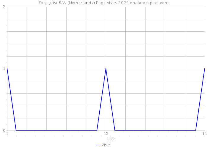 Zorg Juist B.V. (Netherlands) Page visits 2024 