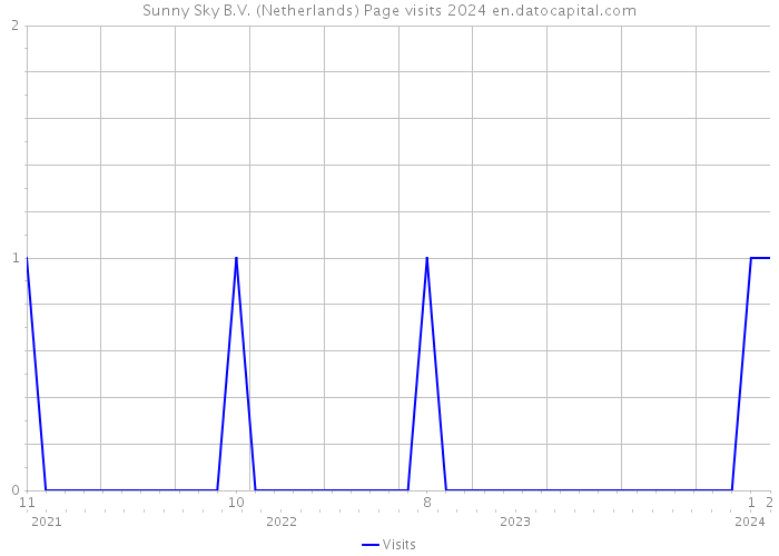 Sunny Sky B.V. (Netherlands) Page visits 2024 
