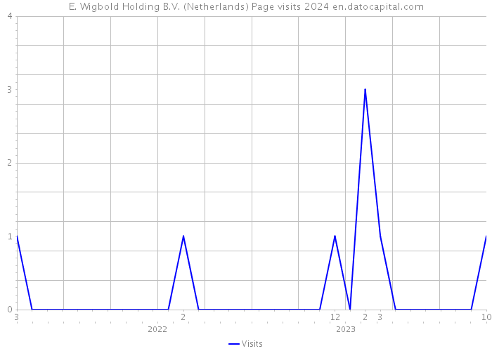 E. Wigbold Holding B.V. (Netherlands) Page visits 2024 