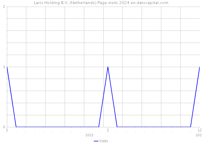 Laris Holding B.V. (Netherlands) Page visits 2024 