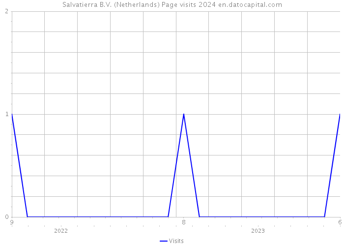 Salvatierra B.V. (Netherlands) Page visits 2024 