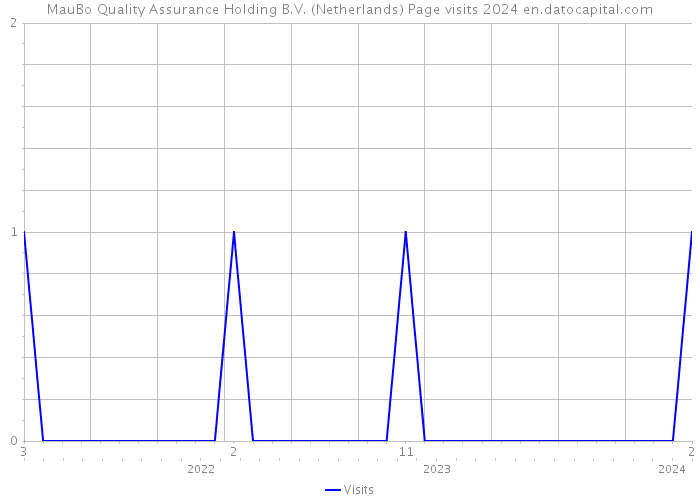 MauBo Quality Assurance Holding B.V. (Netherlands) Page visits 2024 