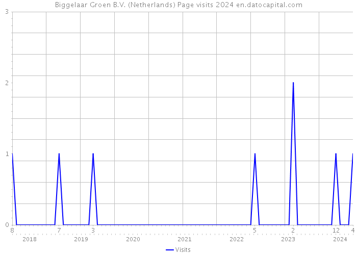 Biggelaar Groen B.V. (Netherlands) Page visits 2024 