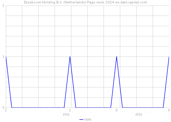 Esseboom Holding B.V. (Netherlands) Page visits 2024 