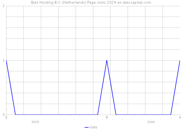 Byte Holding B.V. (Netherlands) Page visits 2024 