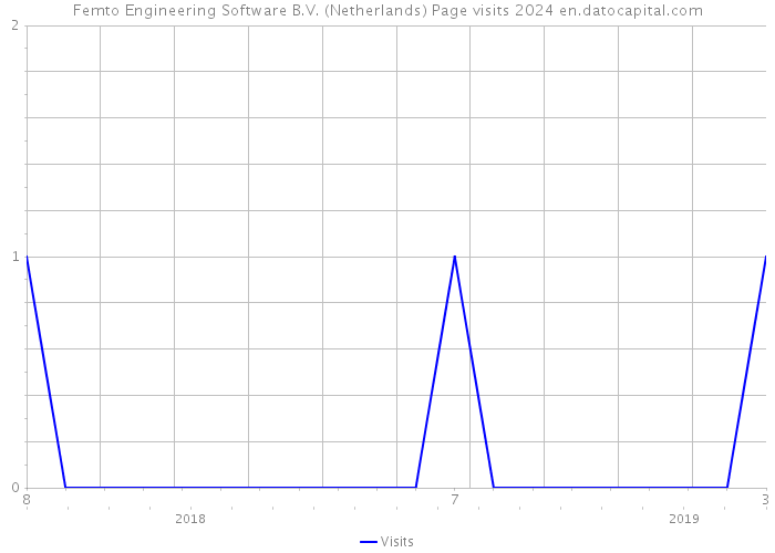 Femto Engineering Software B.V. (Netherlands) Page visits 2024 