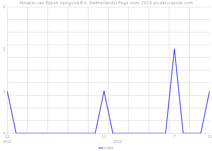 Ninaber van Eijben Vastgoed B.V. (Netherlands) Page visits 2024 