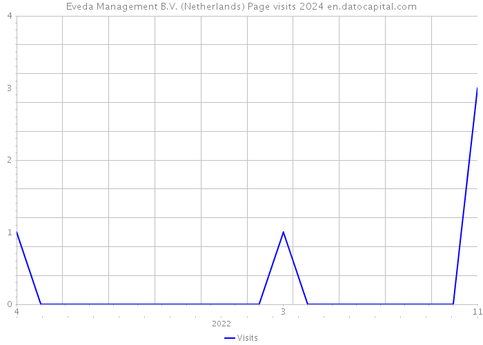 Eveda Management B.V. (Netherlands) Page visits 2024 