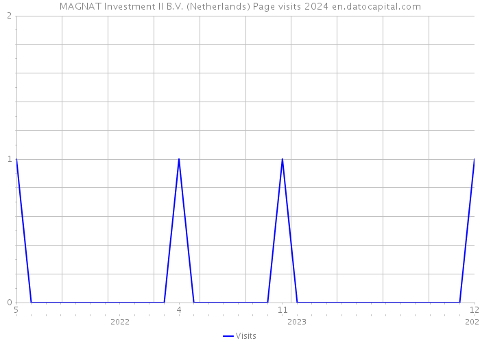 MAGNAT Investment II B.V. (Netherlands) Page visits 2024 