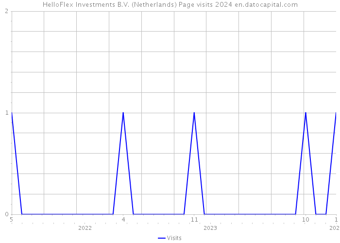 HelloFlex Investments B.V. (Netherlands) Page visits 2024 