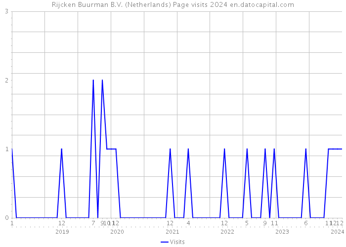 Rijcken Buurman B.V. (Netherlands) Page visits 2024 