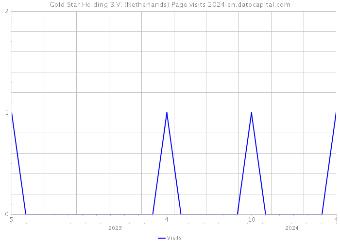 Gold Star Holding B.V. (Netherlands) Page visits 2024 