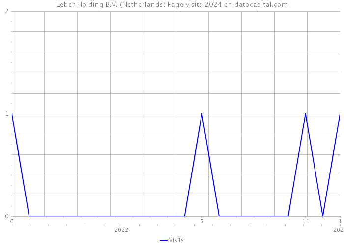 Leber Holding B.V. (Netherlands) Page visits 2024 