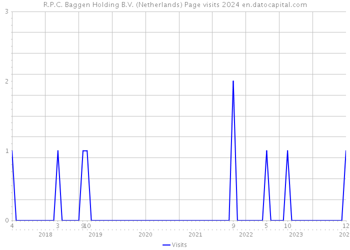 R.P.C. Baggen Holding B.V. (Netherlands) Page visits 2024 