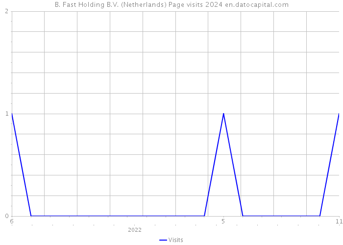 B. Fast Holding B.V. (Netherlands) Page visits 2024 