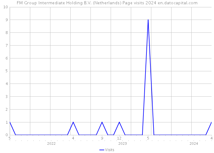 FM Group Intermediate Holding B.V. (Netherlands) Page visits 2024 