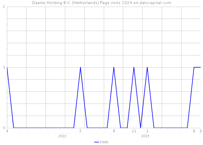 Daams Holding B.V. (Netherlands) Page visits 2024 