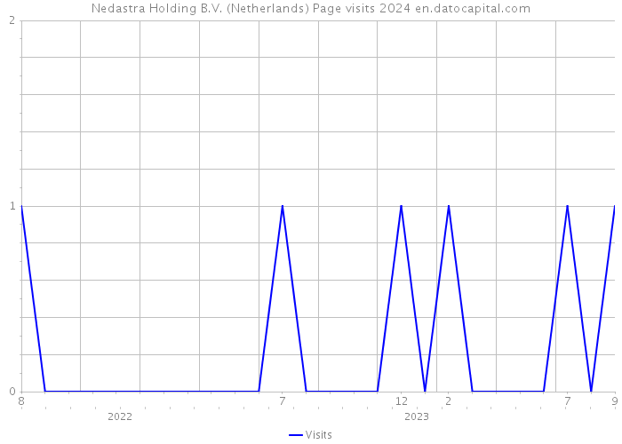 Nedastra Holding B.V. (Netherlands) Page visits 2024 