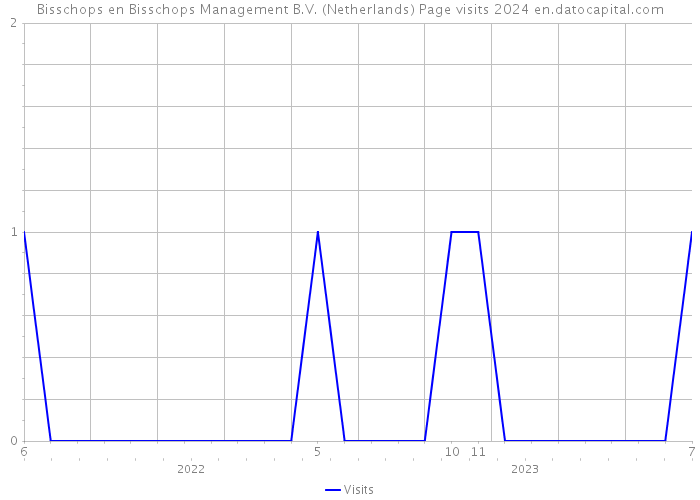 Bisschops en Bisschops Management B.V. (Netherlands) Page visits 2024 