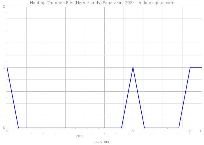 Holding Thoonen B.V. (Netherlands) Page visits 2024 
