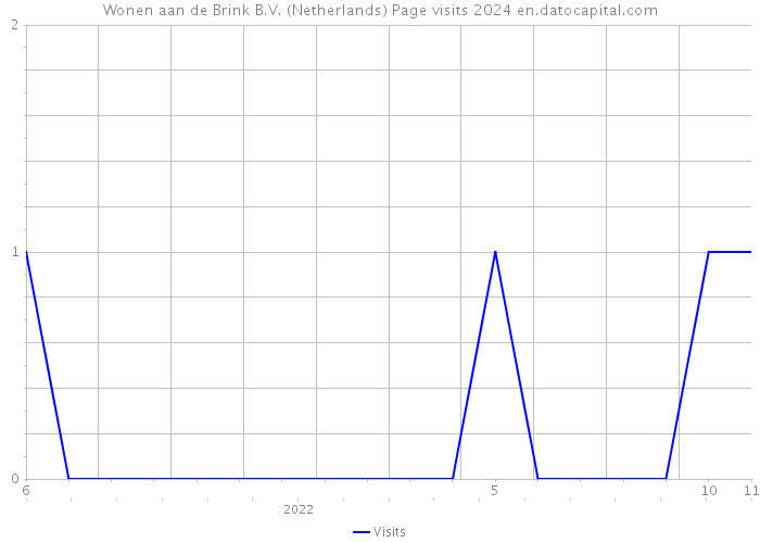 Wonen aan de Brink B.V. (Netherlands) Page visits 2024 