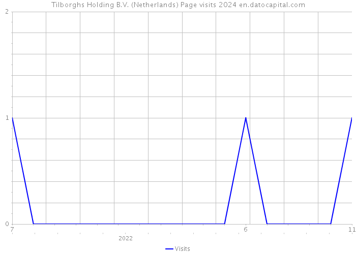 Tilborghs Holding B.V. (Netherlands) Page visits 2024 