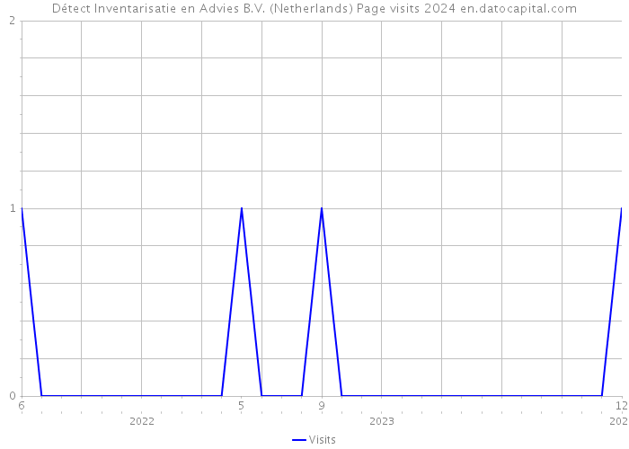 Détect Inventarisatie en Advies B.V. (Netherlands) Page visits 2024 