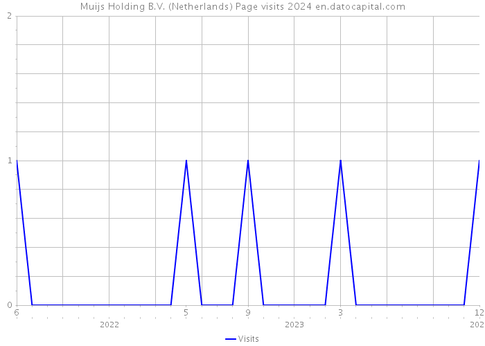 Muijs Holding B.V. (Netherlands) Page visits 2024 