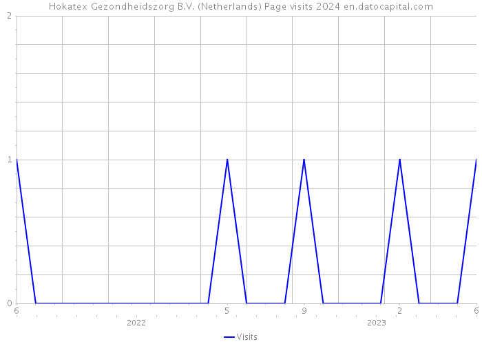 Hokatex Gezondheidszorg B.V. (Netherlands) Page visits 2024 