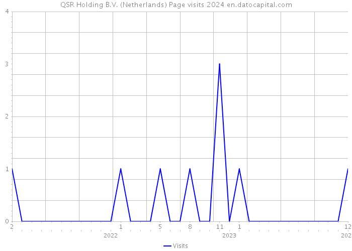 QSR Holding B.V. (Netherlands) Page visits 2024 