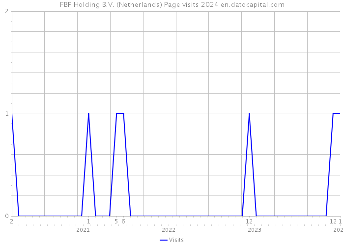 FBP Holding B.V. (Netherlands) Page visits 2024 