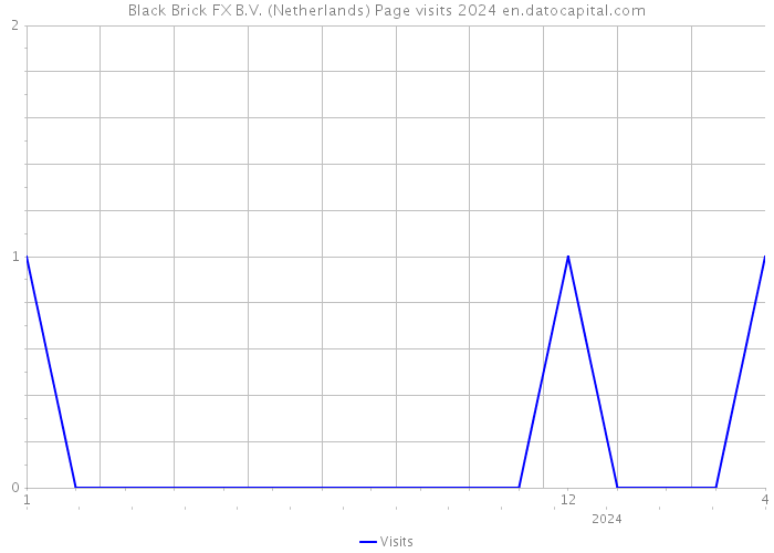 Black Brick FX B.V. (Netherlands) Page visits 2024 