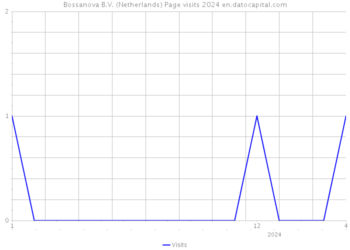 Bossanova B.V. (Netherlands) Page visits 2024 