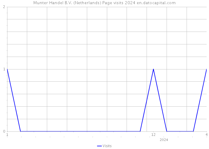 Munter Handel B.V. (Netherlands) Page visits 2024 