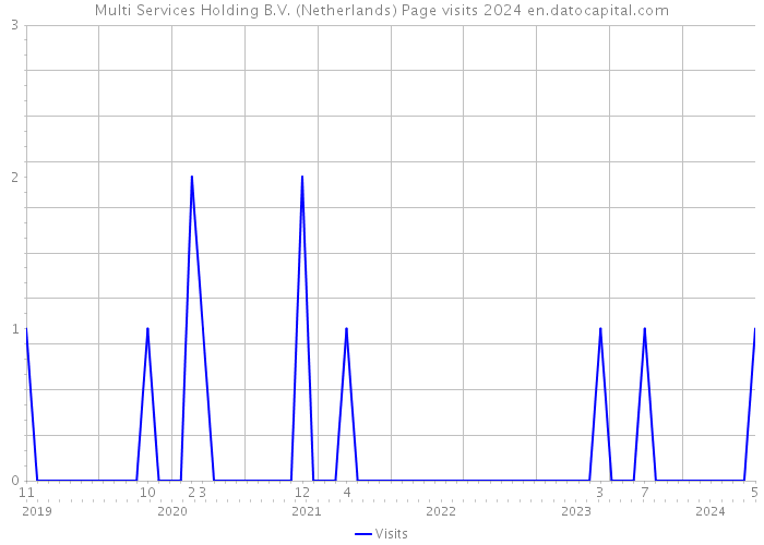 Multi Services Holding B.V. (Netherlands) Page visits 2024 