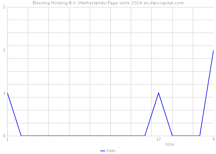 Blessing Holding B.V. (Netherlands) Page visits 2024 