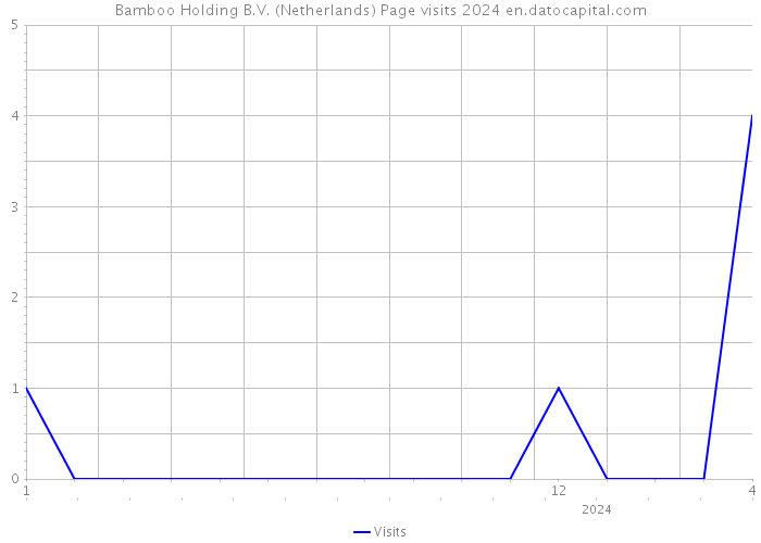 Bamboo Holding B.V. (Netherlands) Page visits 2024 