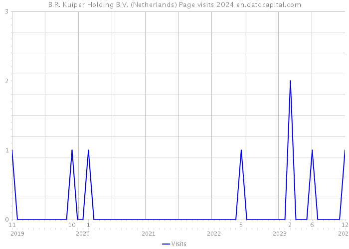 B.R. Kuiper Holding B.V. (Netherlands) Page visits 2024 