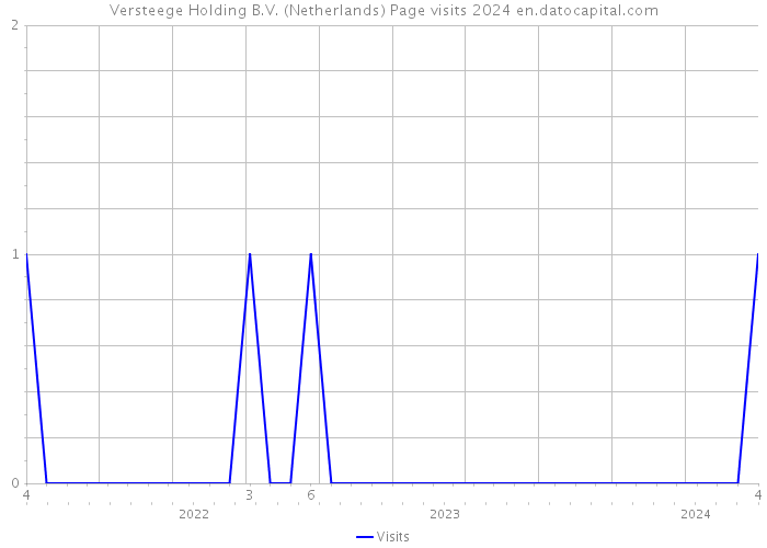 Versteege Holding B.V. (Netherlands) Page visits 2024 