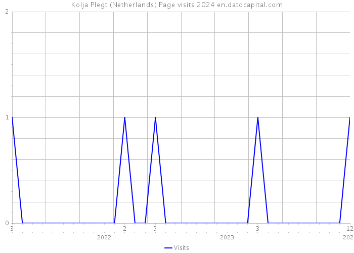 Kolja Plegt (Netherlands) Page visits 2024 