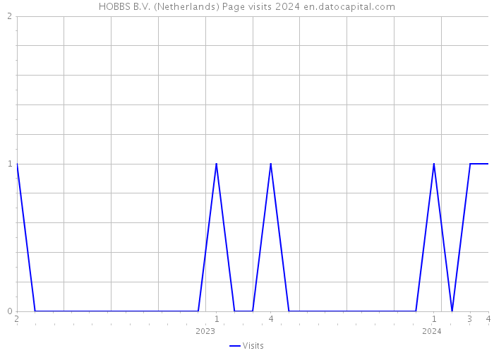 HOBBS B.V. (Netherlands) Page visits 2024 