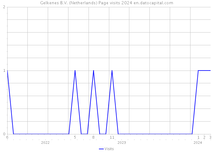 Gelkenes B.V. (Netherlands) Page visits 2024 