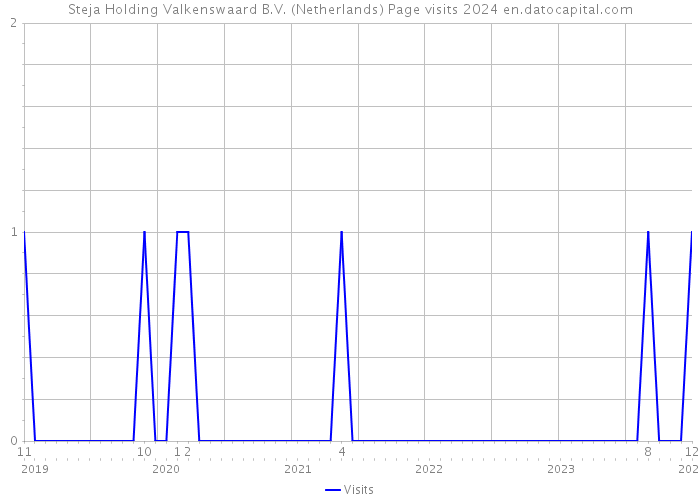 Steja Holding Valkenswaard B.V. (Netherlands) Page visits 2024 