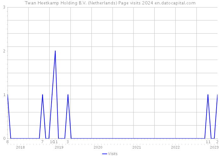 Twan Heetkamp Holding B.V. (Netherlands) Page visits 2024 
