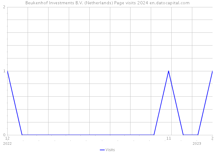 Beukenhof Investments B.V. (Netherlands) Page visits 2024 