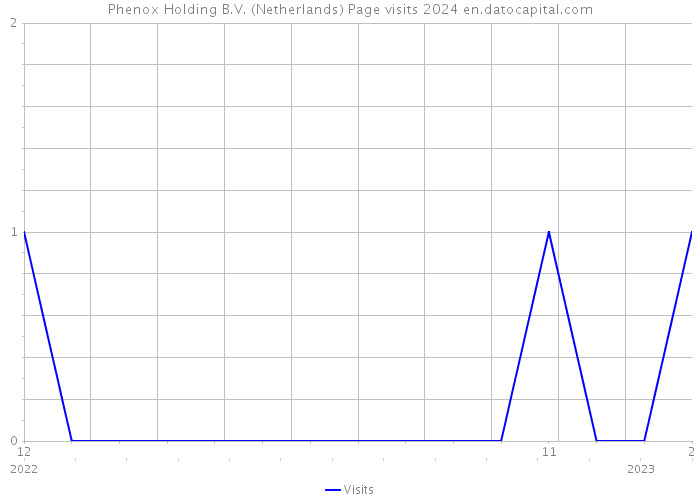 Phenox Holding B.V. (Netherlands) Page visits 2024 