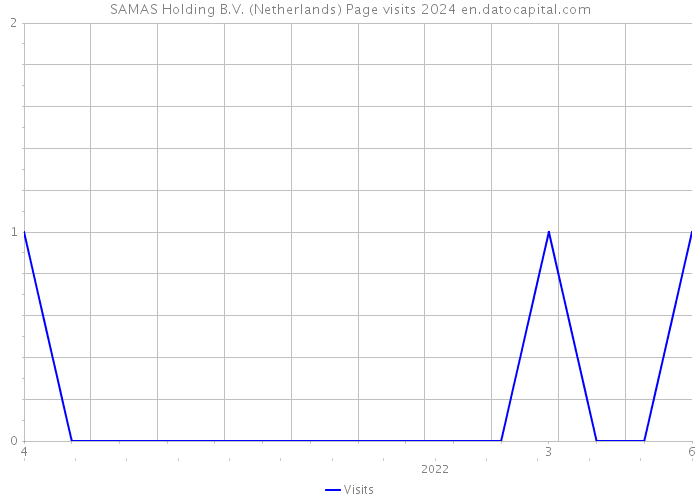 SAMAS Holding B.V. (Netherlands) Page visits 2024 