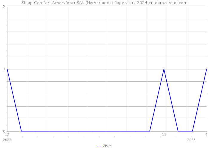 Slaap Comfort Amersfoort B.V. (Netherlands) Page visits 2024 