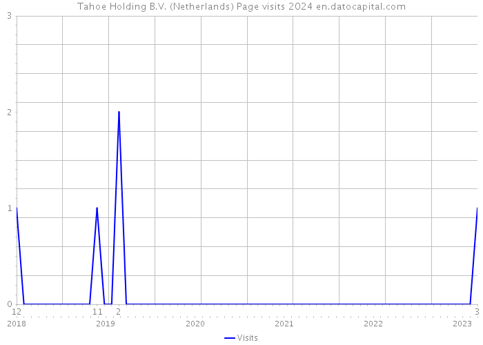 Tahoe Holding B.V. (Netherlands) Page visits 2024 